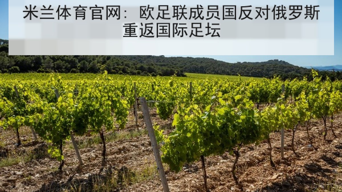 米兰体育官网: 欧足联成员国反对俄罗斯重返国际足坛