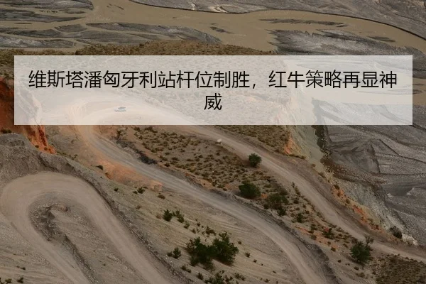 维斯塔潘匈牙利站杆位制胜，红牛策略再显神威