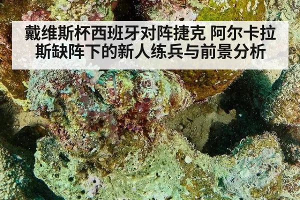 戴维斯杯西班牙对阵捷克 阿尔卡拉斯缺阵下的新人练兵与前景分析